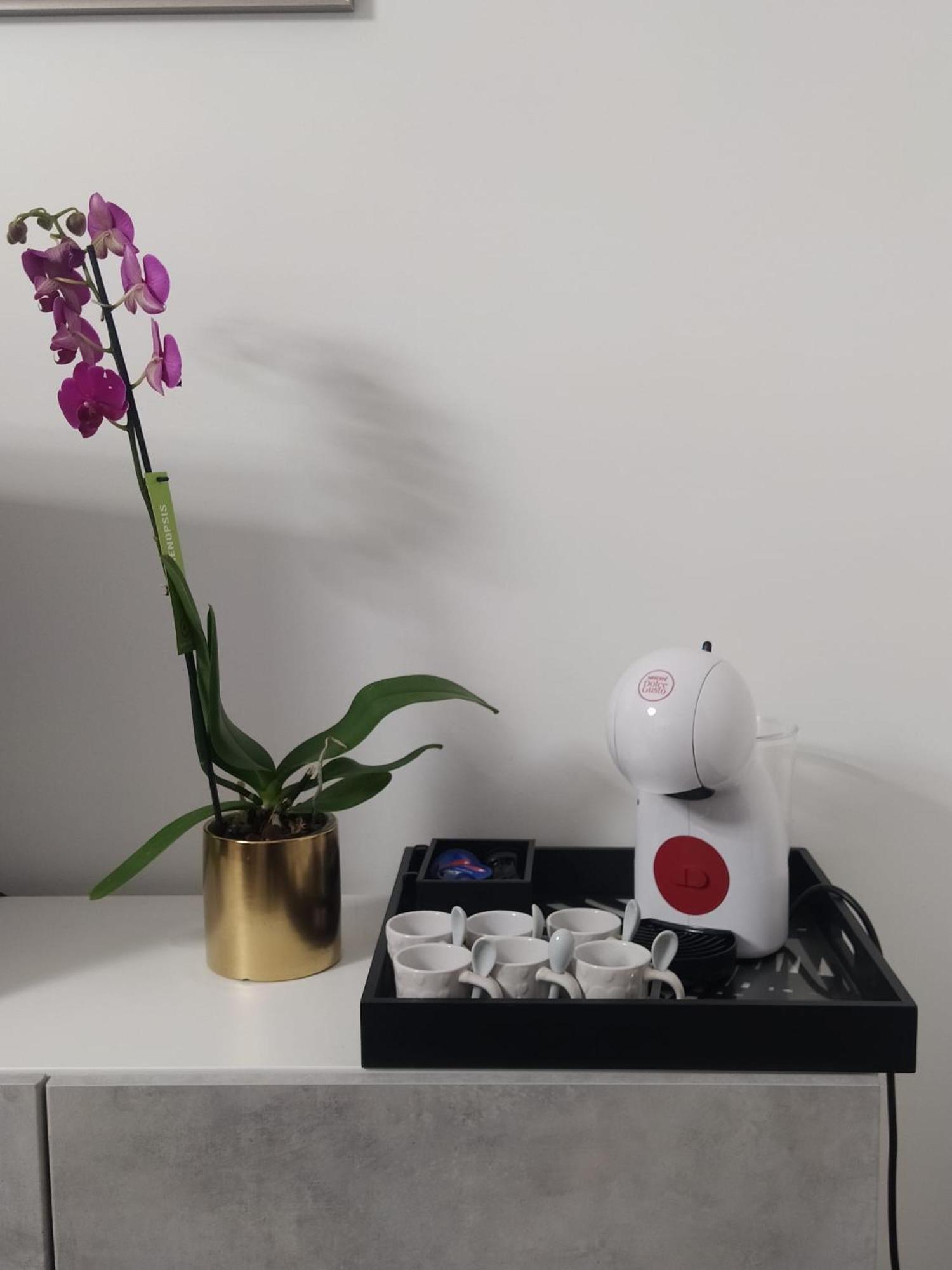 La Perla Del Mare - 9 Minutes From Fco Airport - Free Wifi E Netflix Apartment Fiumicino Luaran gambar